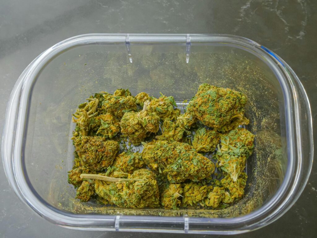 donde se consume mas cannabis en Europa