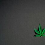 el cbd es legal
